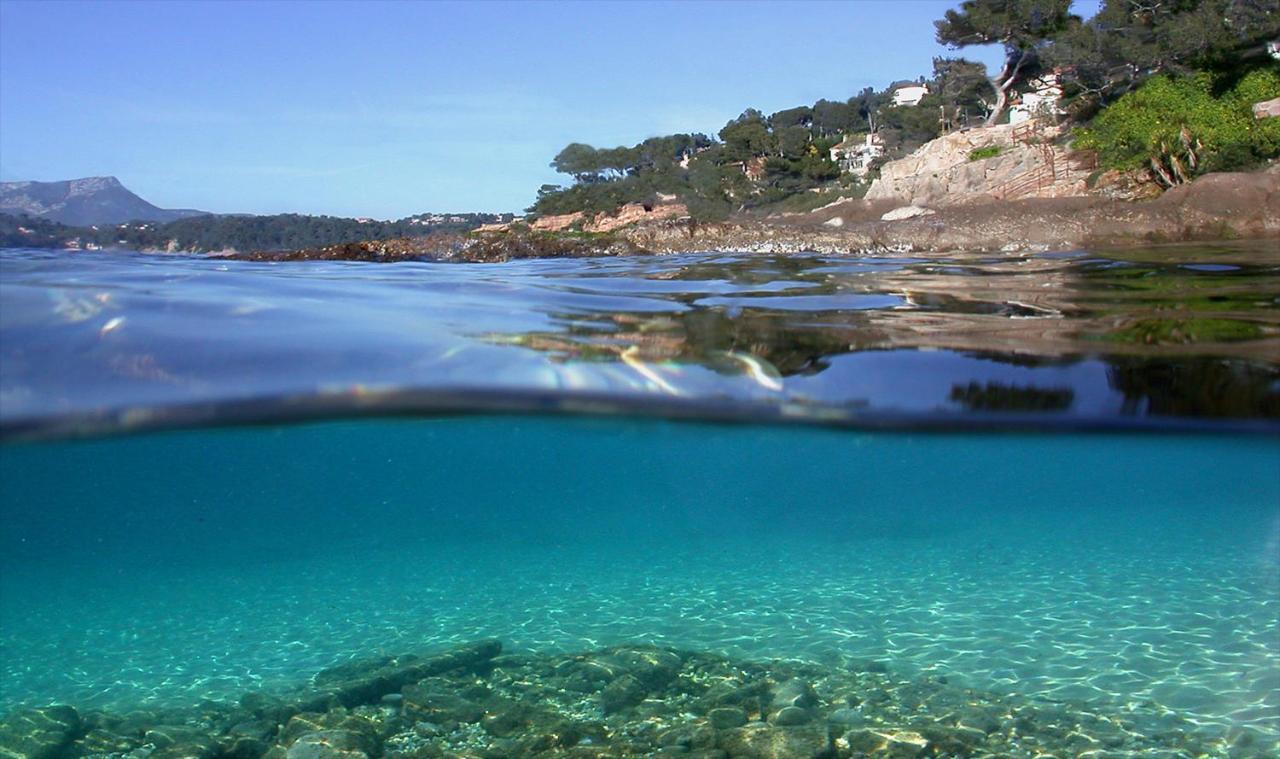 Magnifique Petit Cocon Bord De Mer Le Pradet Exterior foto